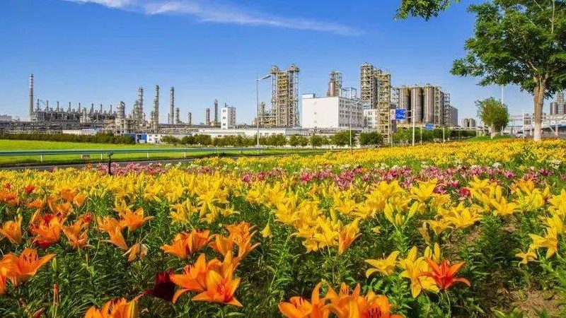化工原料防爆储存柜：安全储存，从了解开始**