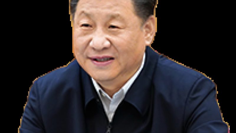 工业添加剂代理加盟，如何把握标准与机遇**