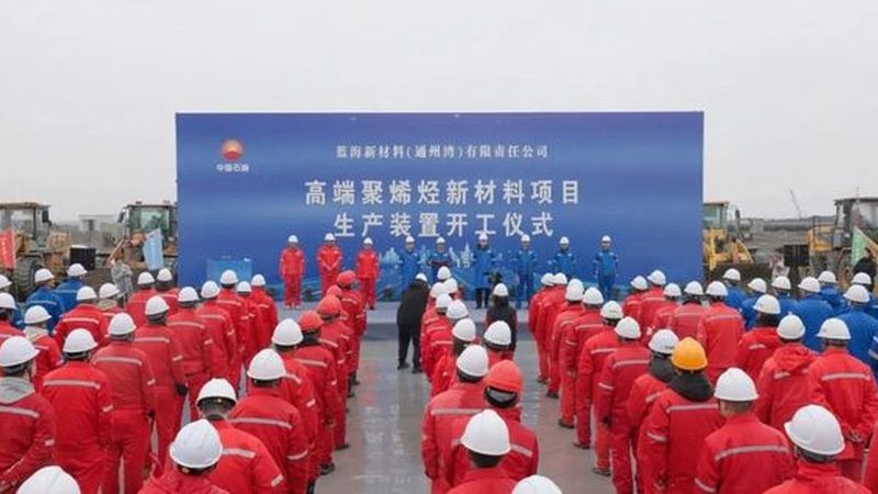 无机化工原料参数表：揭秘如何准确解读与应用